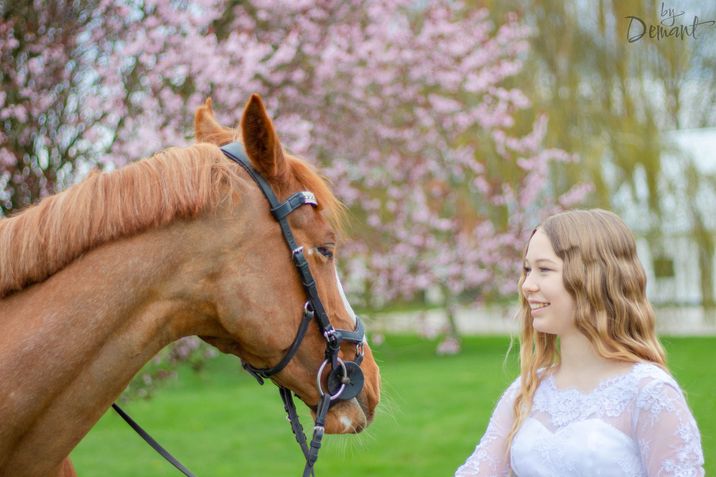 Konfirmation