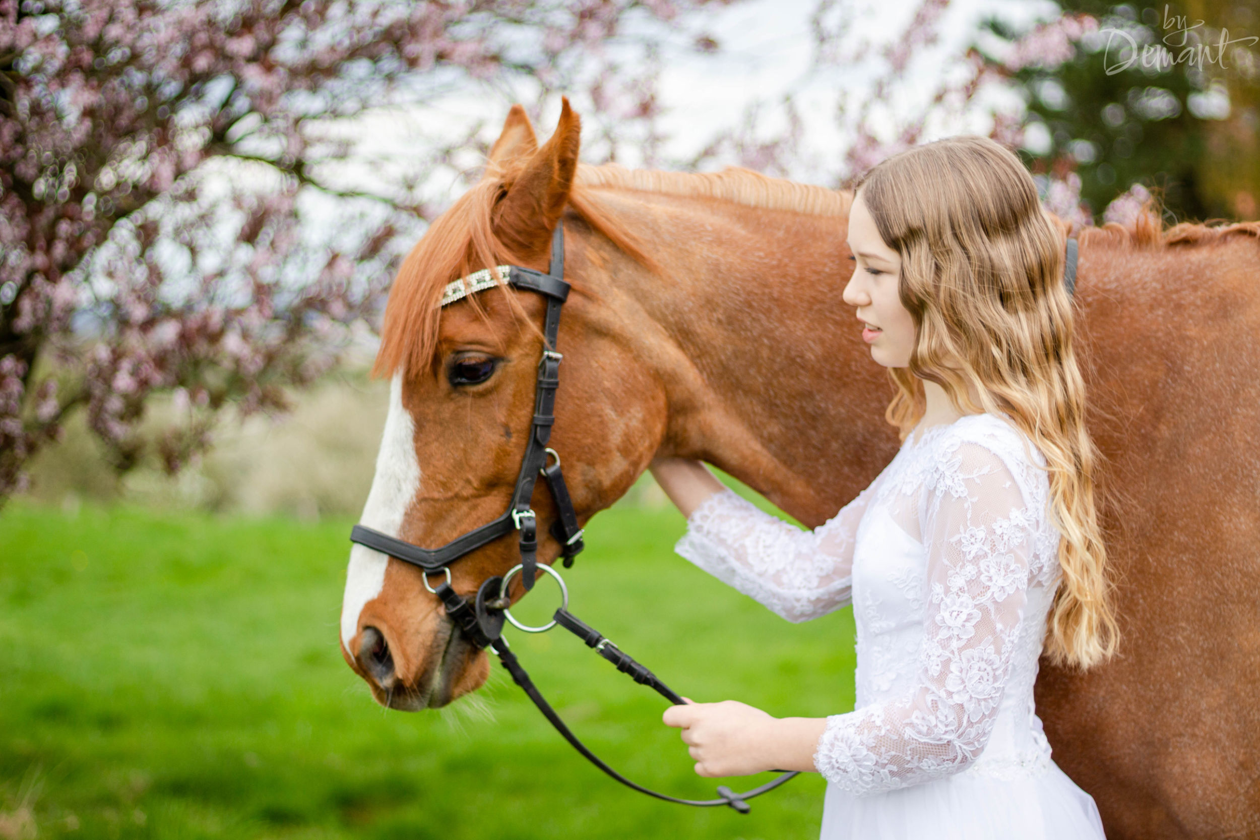 Konfirmation